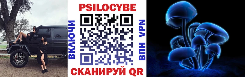 Псилоцибиновые грибы мухоморы  купить наркотики цена  Котельнич 